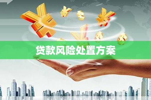 班玛贷款风险处置方案