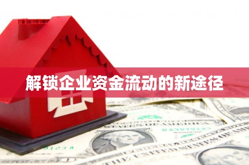 班玛解锁企业资金流动的新途径