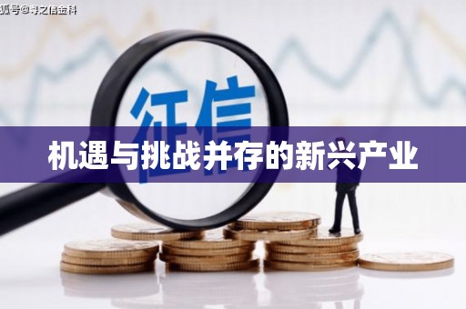 班玛机遇与挑战并存的新兴产业