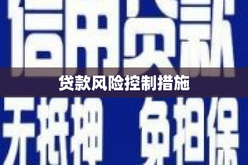 班玛贷款风险控制措施