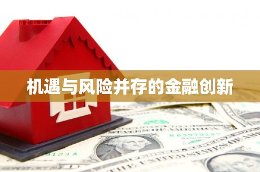 班玛机遇与风险并存的金融创新