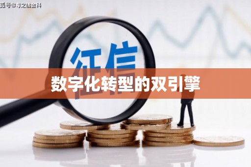 班玛数字化转型的双引擎