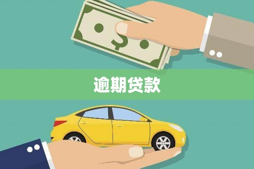 班玛逾期贷款