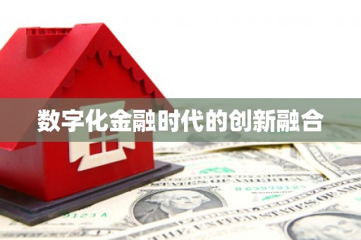班玛数字化金融时代的创新融合