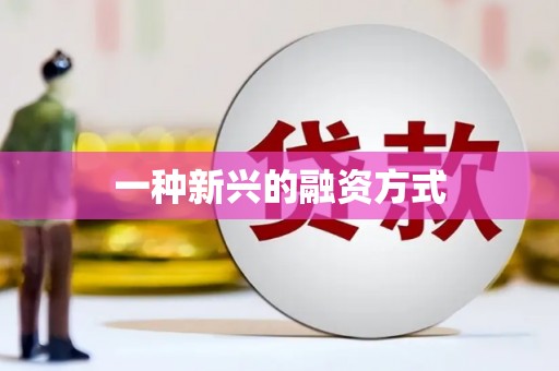 班玛一种新兴的融资方式